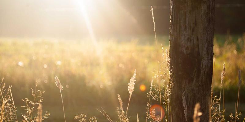 远程办公新常态下,零信任架构如何借力AI护航企业数字化转型